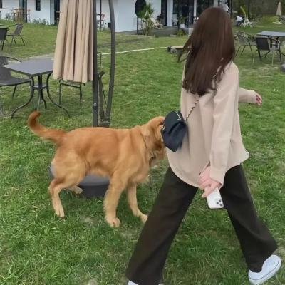 又一个星期五